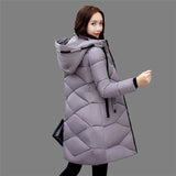 Women's clothing Discount Down jackets and other styles of clothing XXX001