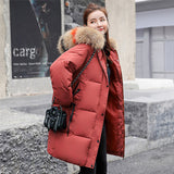 Women's clothing Discount Down jackets and other styles of clothing XXX001