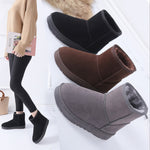 Snow Boots Woman 2019 Winter Women Ankle Boot Korean Fashion Plus Size Non-slip Flat Booties Keep Warm Ladies Shoes Botas mujer