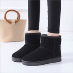 Snow Boots Woman 2019 Winter Women Ankle Boot Korean Fashion Plus Size Non-slip Flat Booties Keep Warm Ladies Shoes Botas mujer