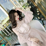 2019 New Women Fashion Dress Stand Collar Lantern Sleeve Mesh Dress See-through Lace Embroidery Fairy Dress Femme Vestidos Robe